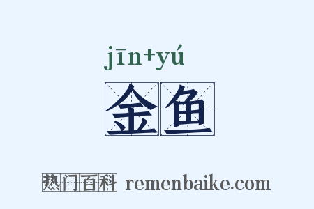 金鱼是什么意思的图片